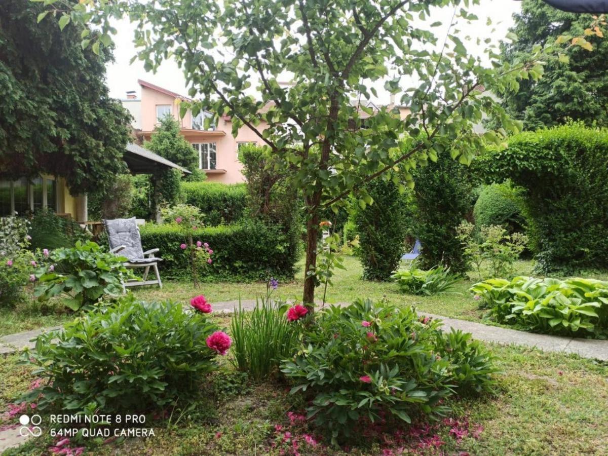 Cocic Garden Lägenhet Osijek Exteriör bild
