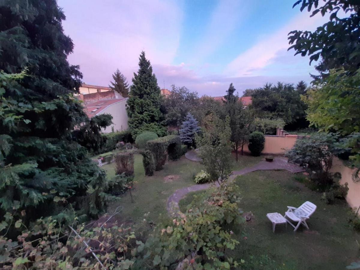 Cocic Garden Lägenhet Osijek Exteriör bild
