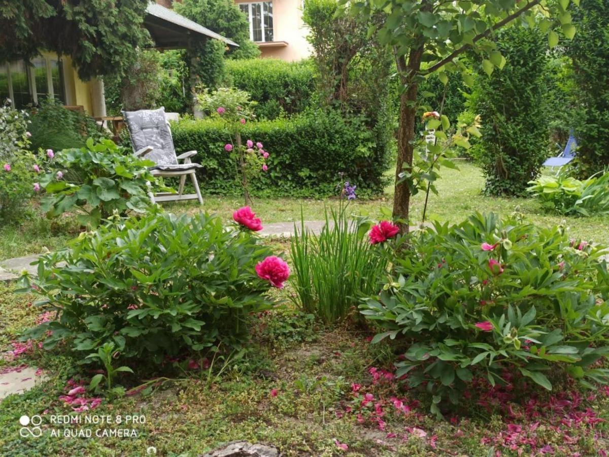 Cocic Garden Lägenhet Osijek Exteriör bild