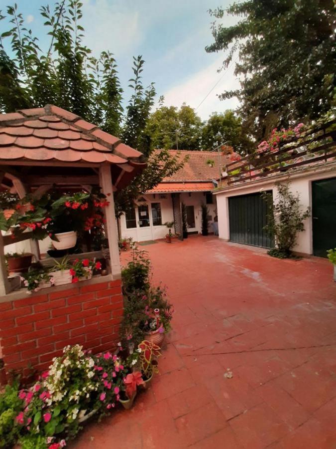 Cocic Garden Lägenhet Osijek Exteriör bild