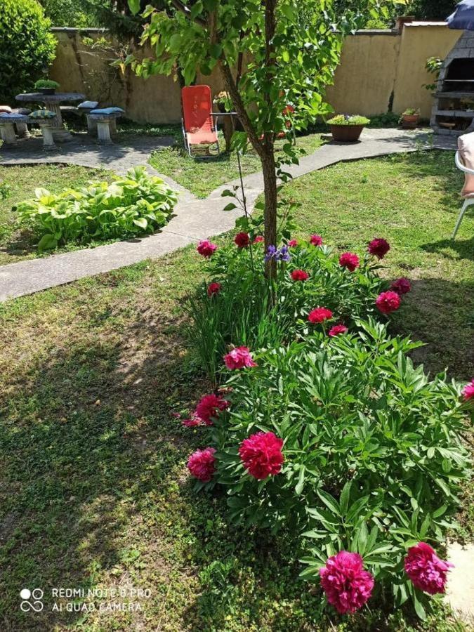 Cocic Garden Lägenhet Osijek Exteriör bild