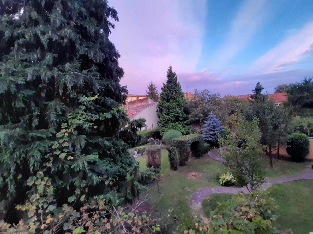 Cocic Garden Lägenhet Osijek Exteriör bild