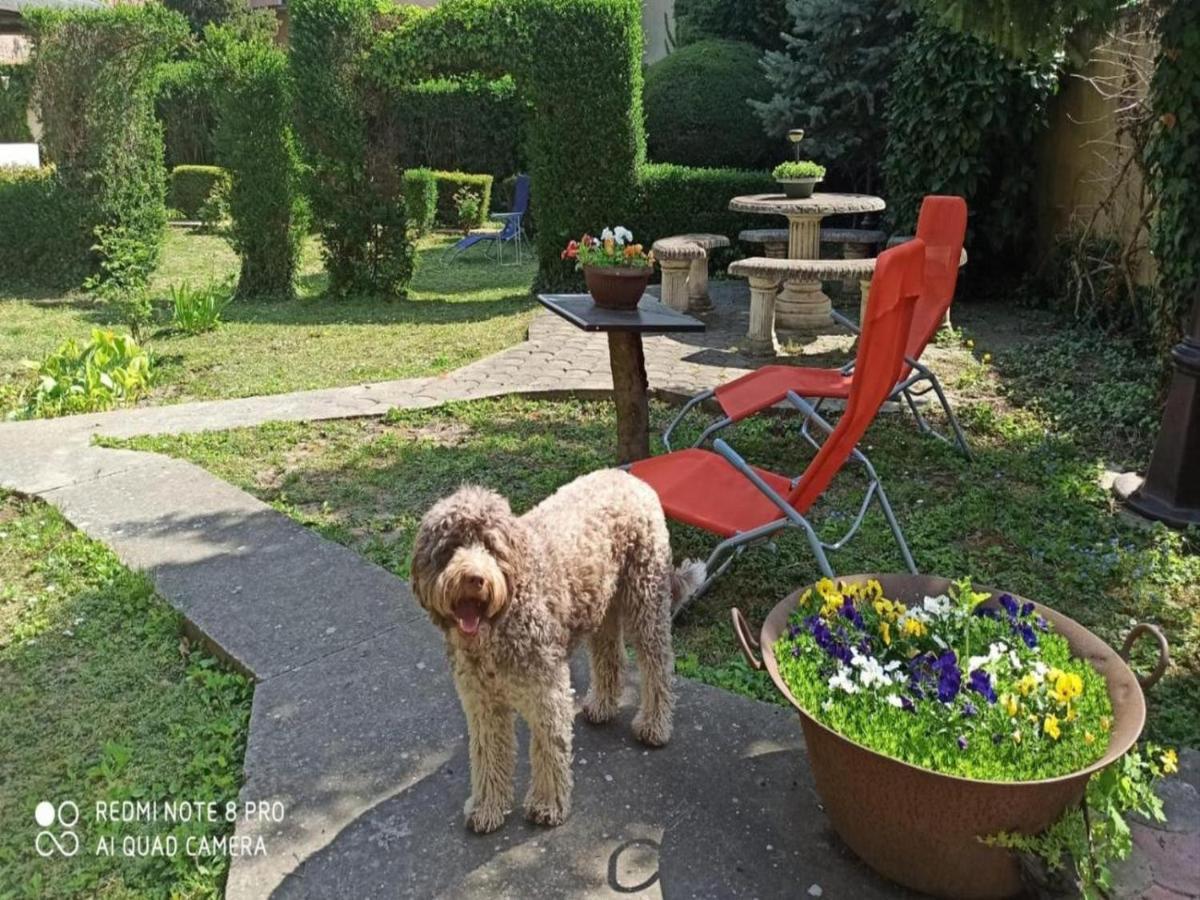Cocic Garden Lägenhet Osijek Exteriör bild